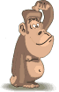 //images/smileys/gratt.gif