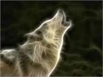 Avatar de Loup blanc