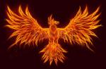Avatar de kenny