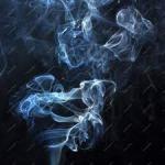 Avatar de veillant