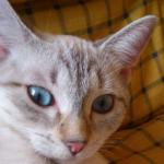 Avatar de Drinette