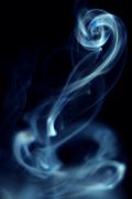 Avatar de Volute